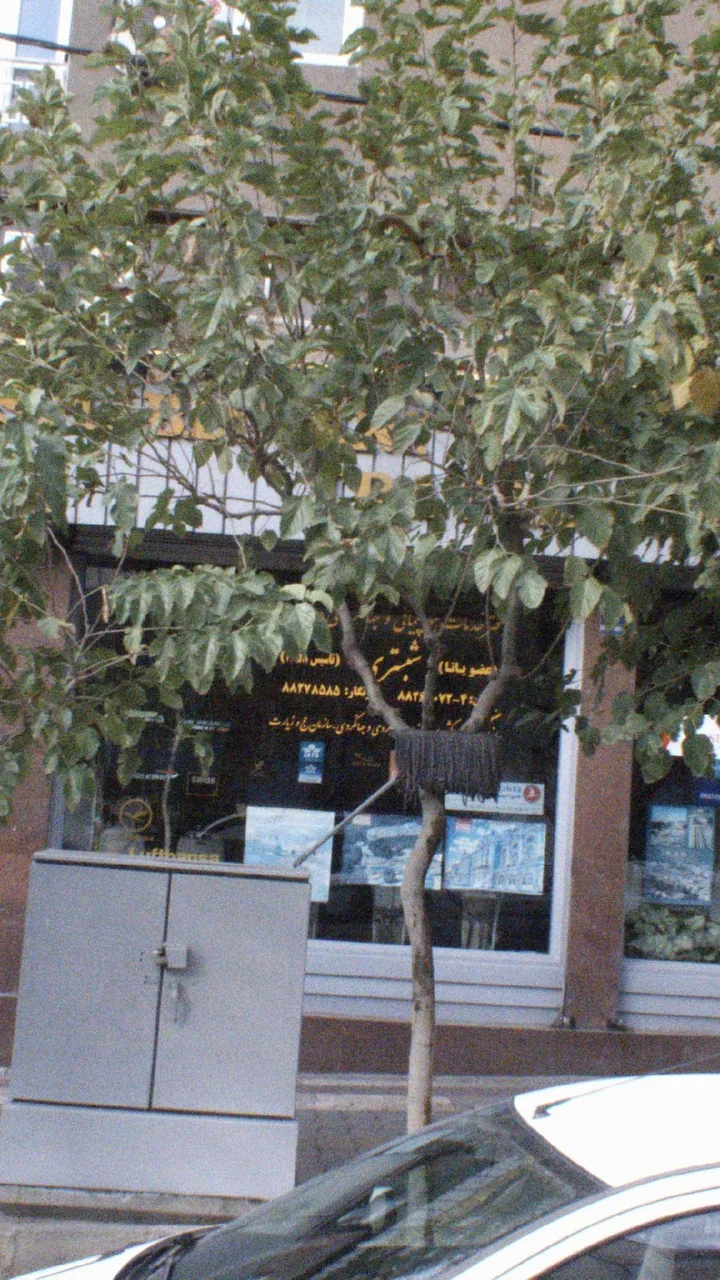 دفتر خدمات هواپیمایی و جهانگردی شبستری