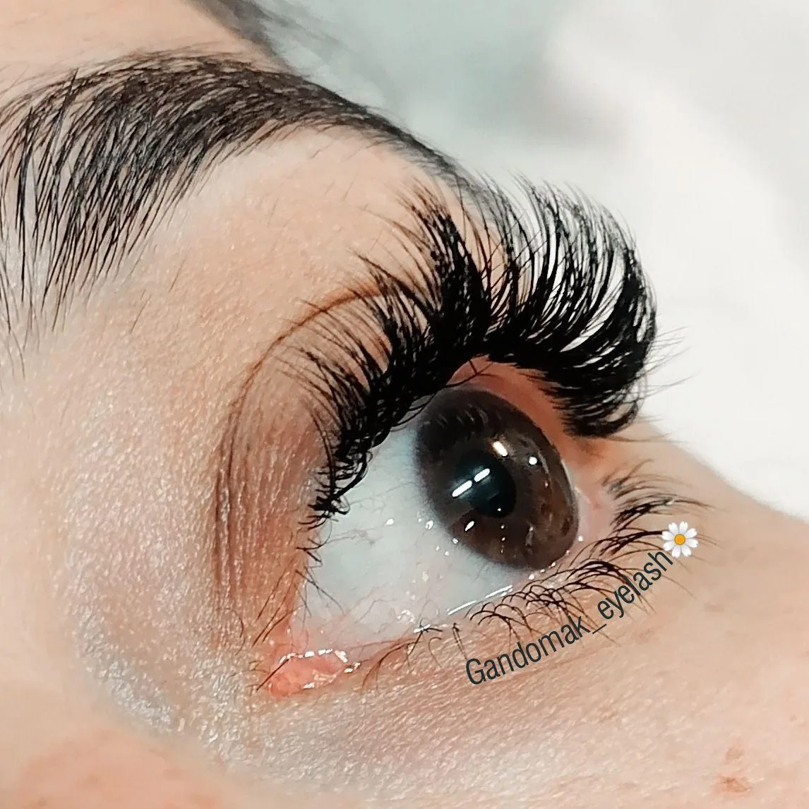 خدمات تخصصی اکستنشن مژه و لیفت - تصویر 4