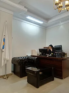 شرکت خدمات بیمه ای نگین ایمنی آوران جاوید