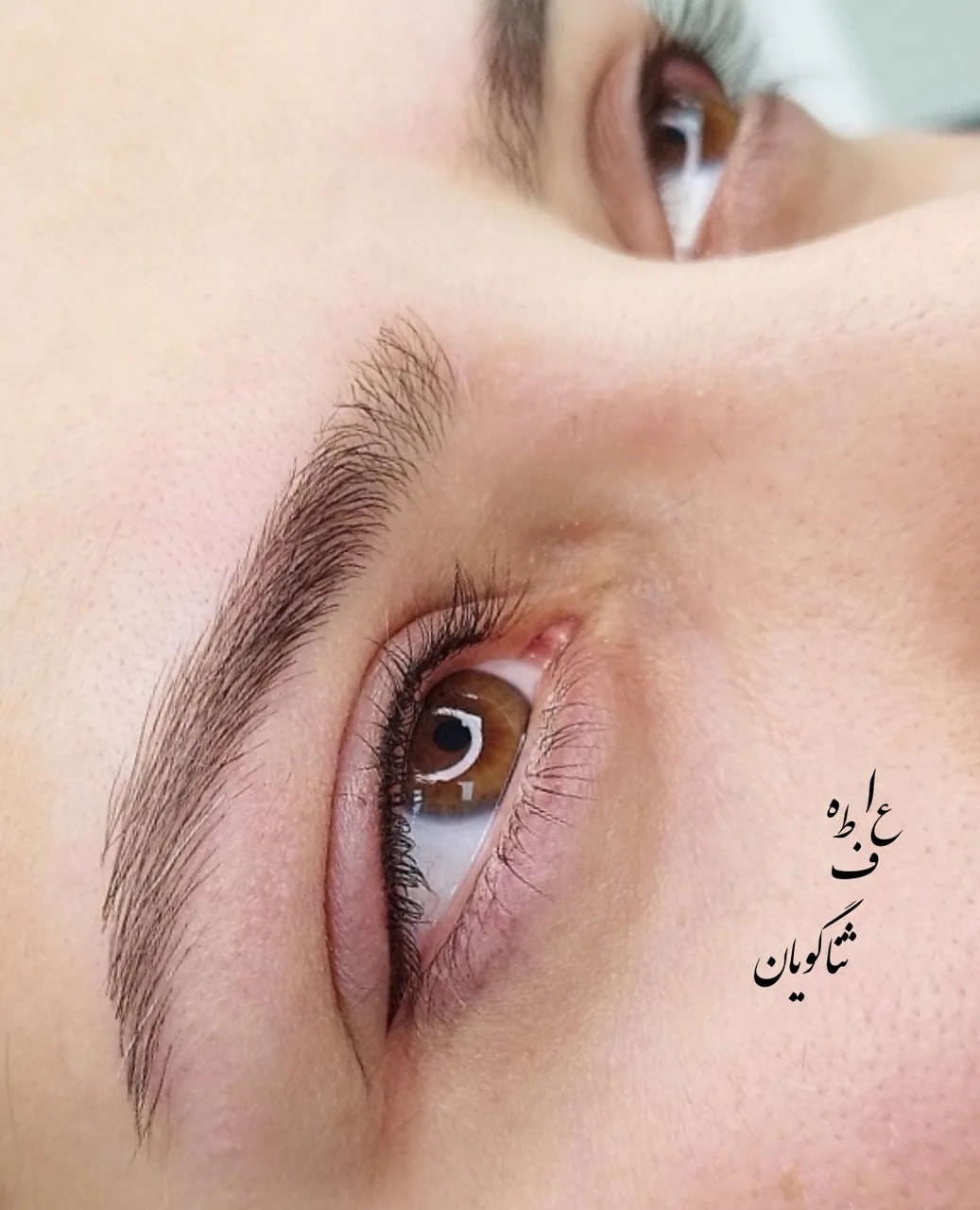 خدمات تخصصی آرایش دائم عاطفه ثناگویان - تصویر 2
