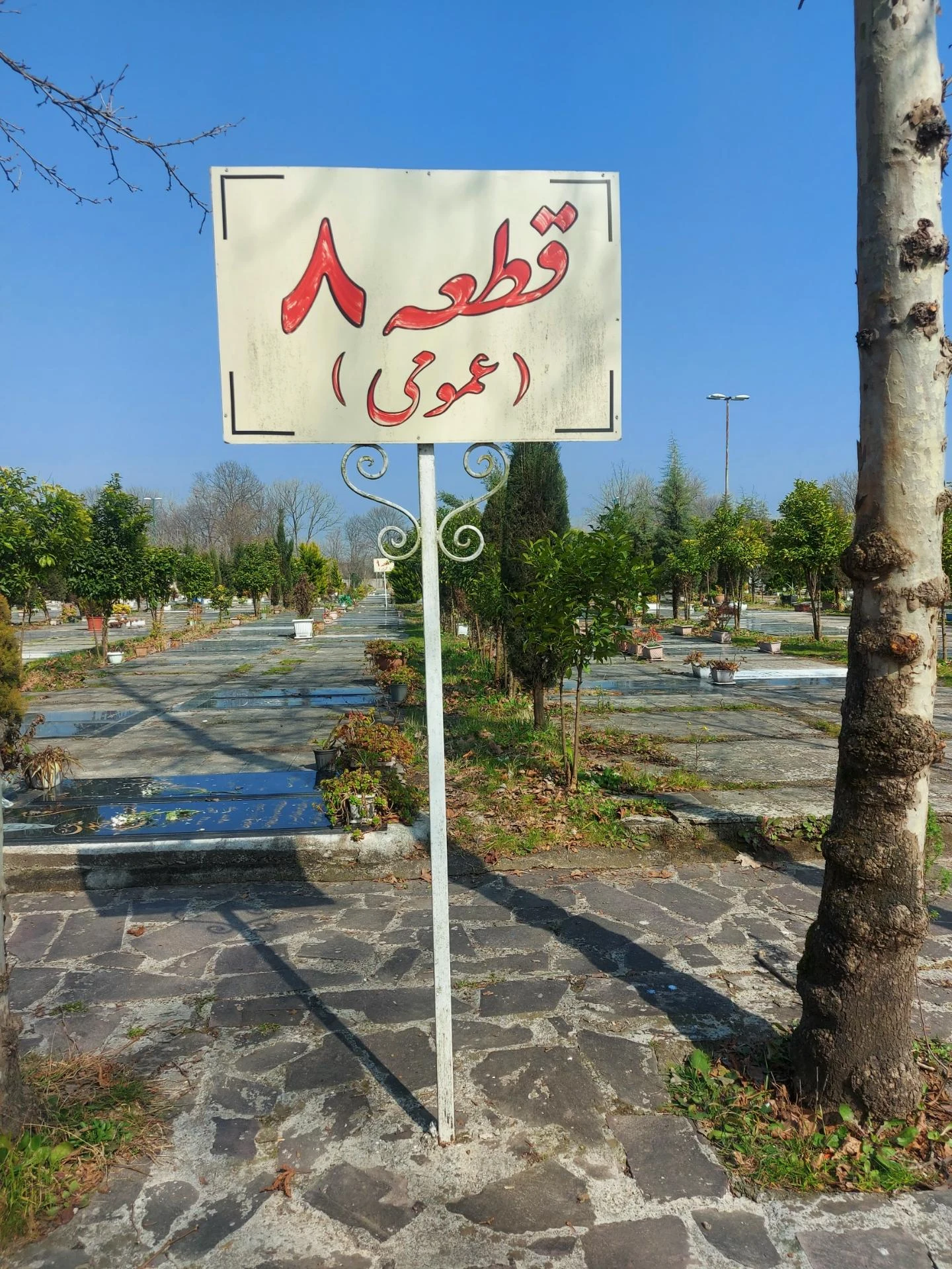 قطعه 8 باغ رضوان