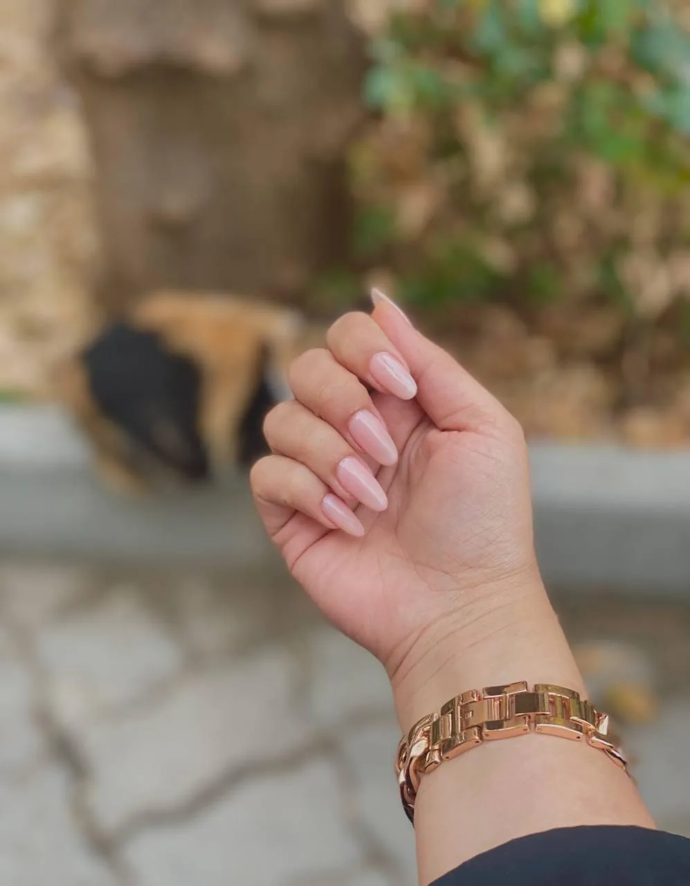 خدمات ناخن نیوشا - تصویر 6