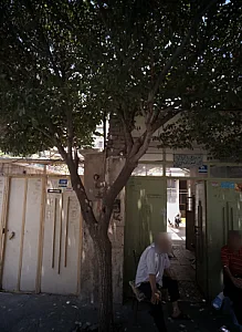 خدمات سبزی خردکنی