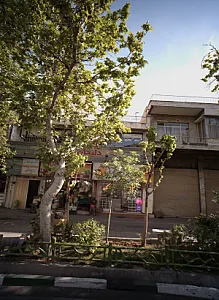 شرکت خدمات مسافرت هوایی و جهانگردی دلیجان