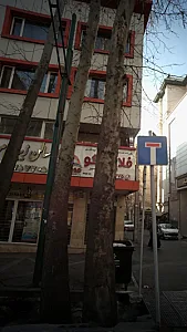 شرکت خدمات مسافرت هوایی فلامینگو افق سیر