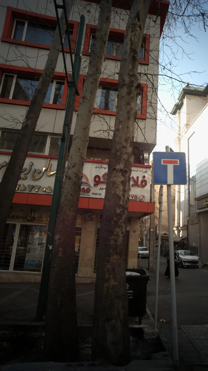 شرکت خدمات مسافرت هوایی فلامینگو افق سیر