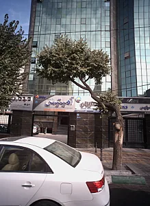 شرکت خدمات اینترنت دیده بان نت