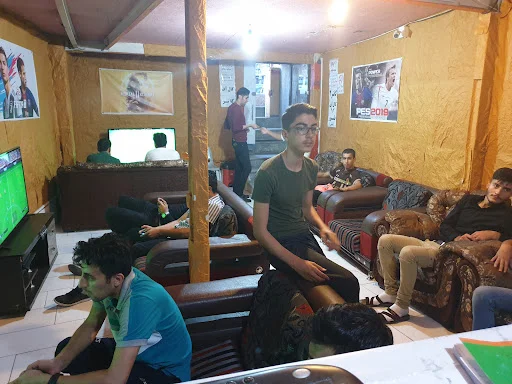 گیم نت قارتال - فروش نهال و بذر در تبریز