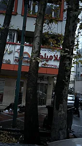 شرکت خدمات مسافر هوایی فلامینگو
