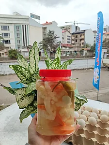 لبنیات سنتی سمینتال