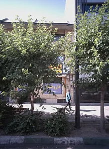 بیمه ایران شرکت خدمات بیمه ای توسعه هنر