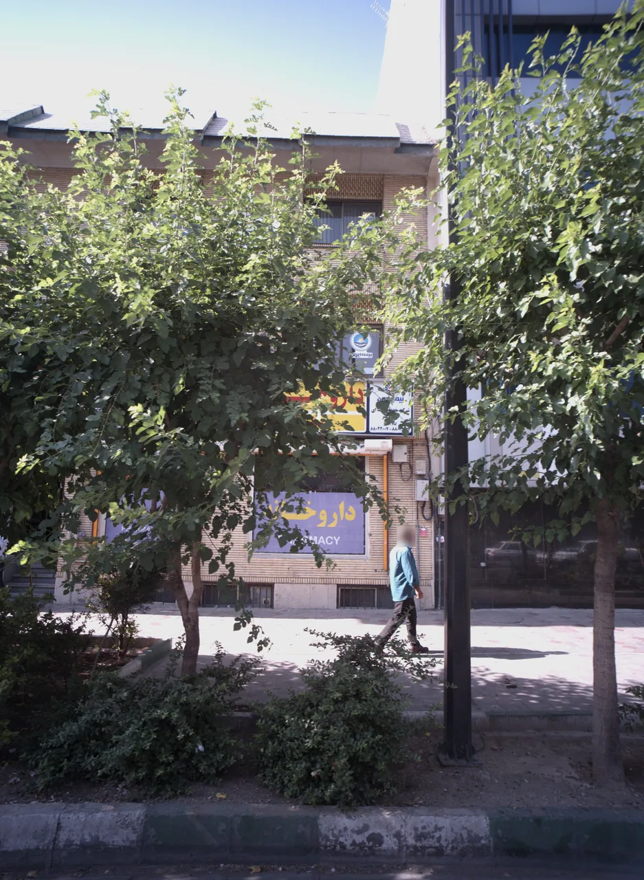 بیمه ایران شرکت خدمات بیمه ای توسعه هنر