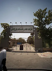 شرکت غله و خدمات بازرگانی