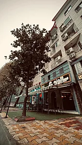 فست فود سالوته