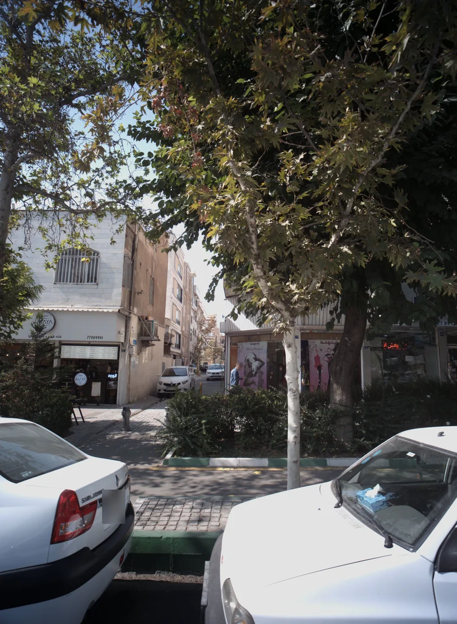 خانه قهوه و شکلات مایا