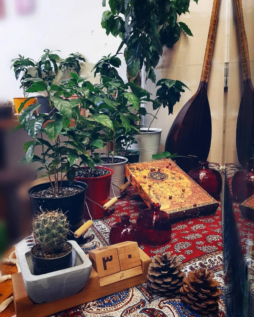 قهوه اچ پلاس - تصویر 6