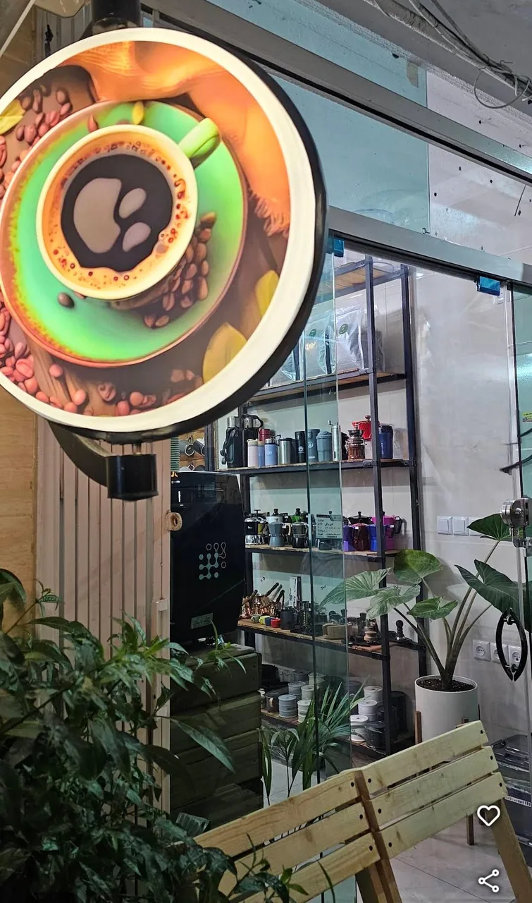قهوه گیلوا - تصویر 3