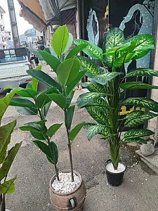 دهکده گلهای مصنوعی