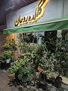 گلکده روحان