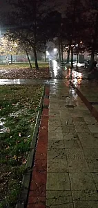 قهوه خونه برهان