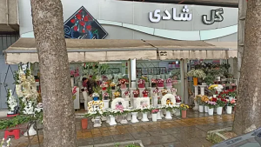 گل فروشی شادی