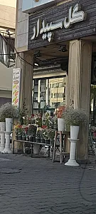 گل سپیدار