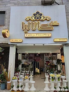 گلسرای کاتالیا