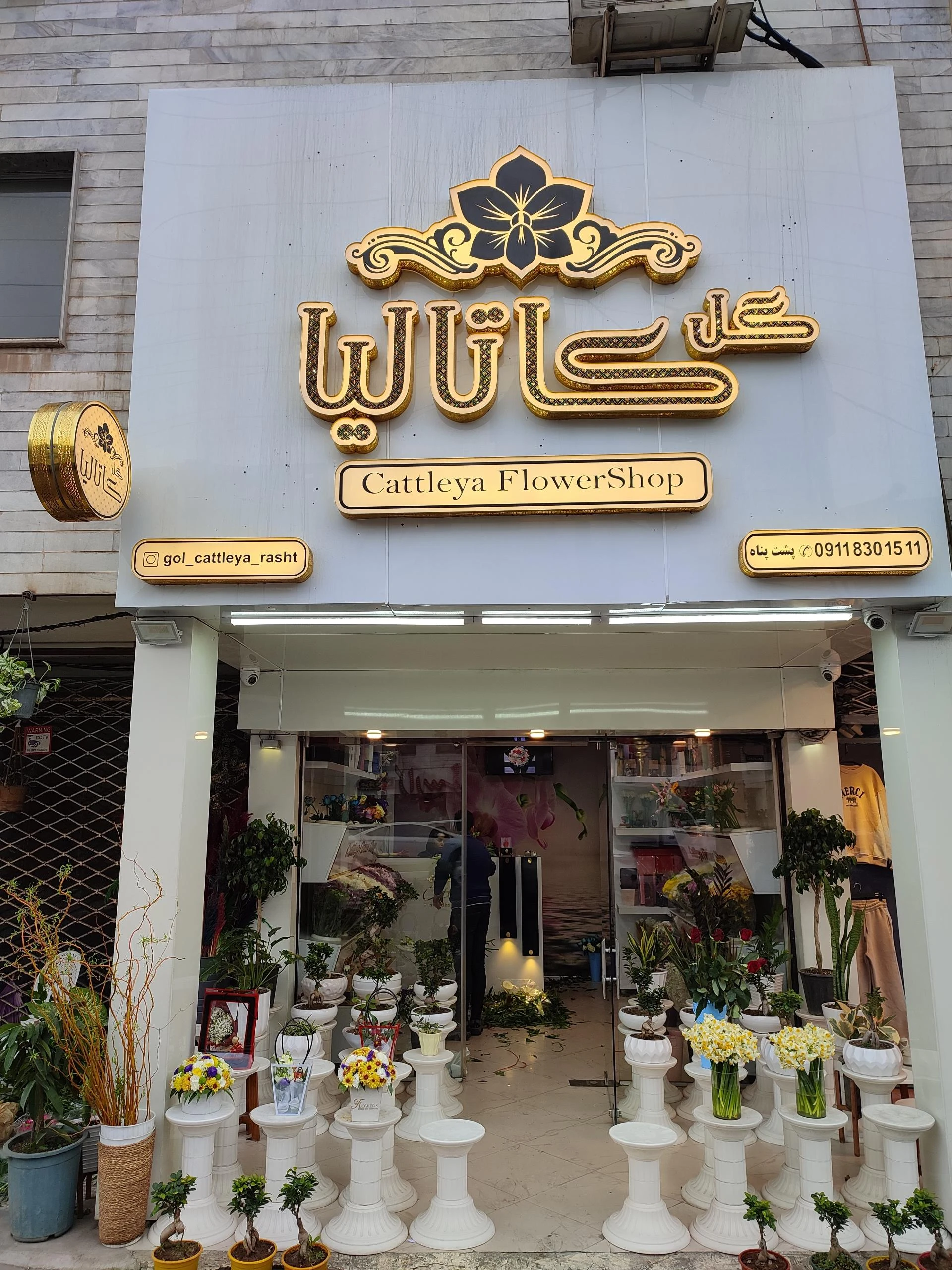 گلسرای کاتالیا