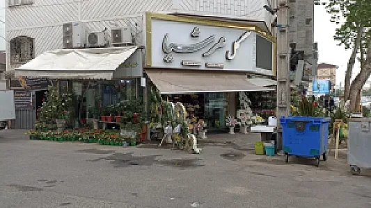 گل فروشی عرشیا