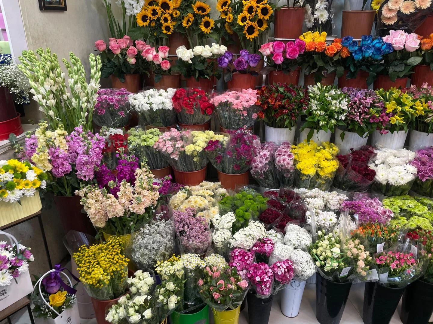 گلکده آنالیا