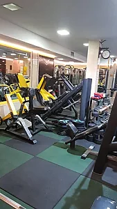 باشگاه ورزشی شاهین