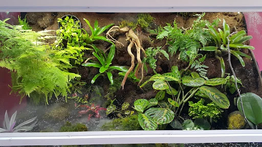 گالری طراحان طبیعت (داروگ)