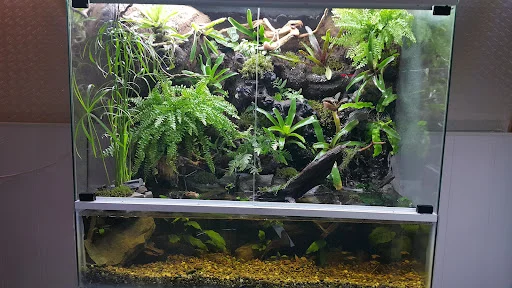 گالری طراحان طبیعت (داروگ) - گل‌فروشی و گیاهان زینتی در تبریز