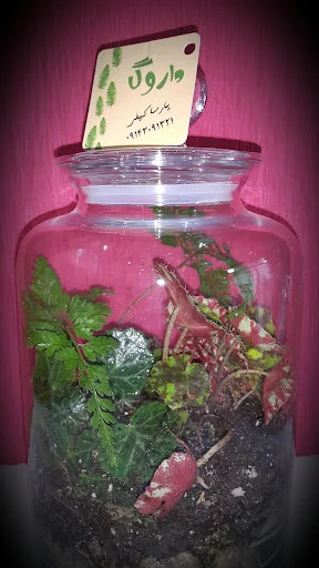 گالری طراحان طبیعت (داروگ) - گل‌فروشی و گیاهان زینتی در تبریز