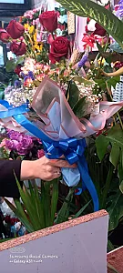 گلکده آترین