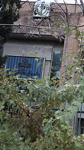 سالن ورزشی،فرهنگی