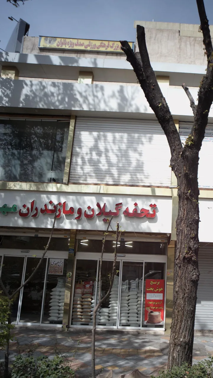 مجتمع بزرگ ورزشی صدف بانوان - تصویر 2