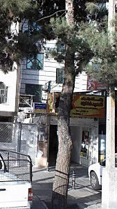 باشگاه بانوان شهید غفاری