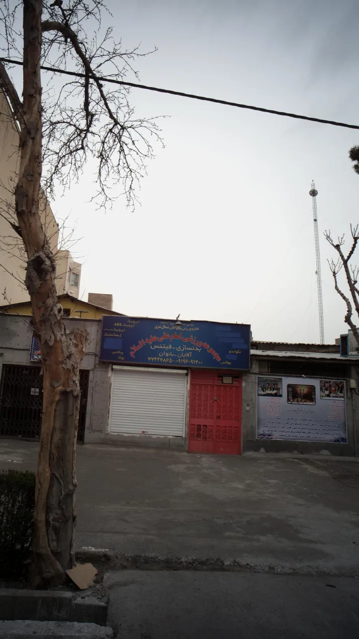 مجموعه ورزشی امام علی علیه السلام - تصویر 2