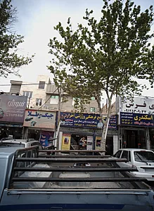 مجتمع فرهنگی ورزشی احرار