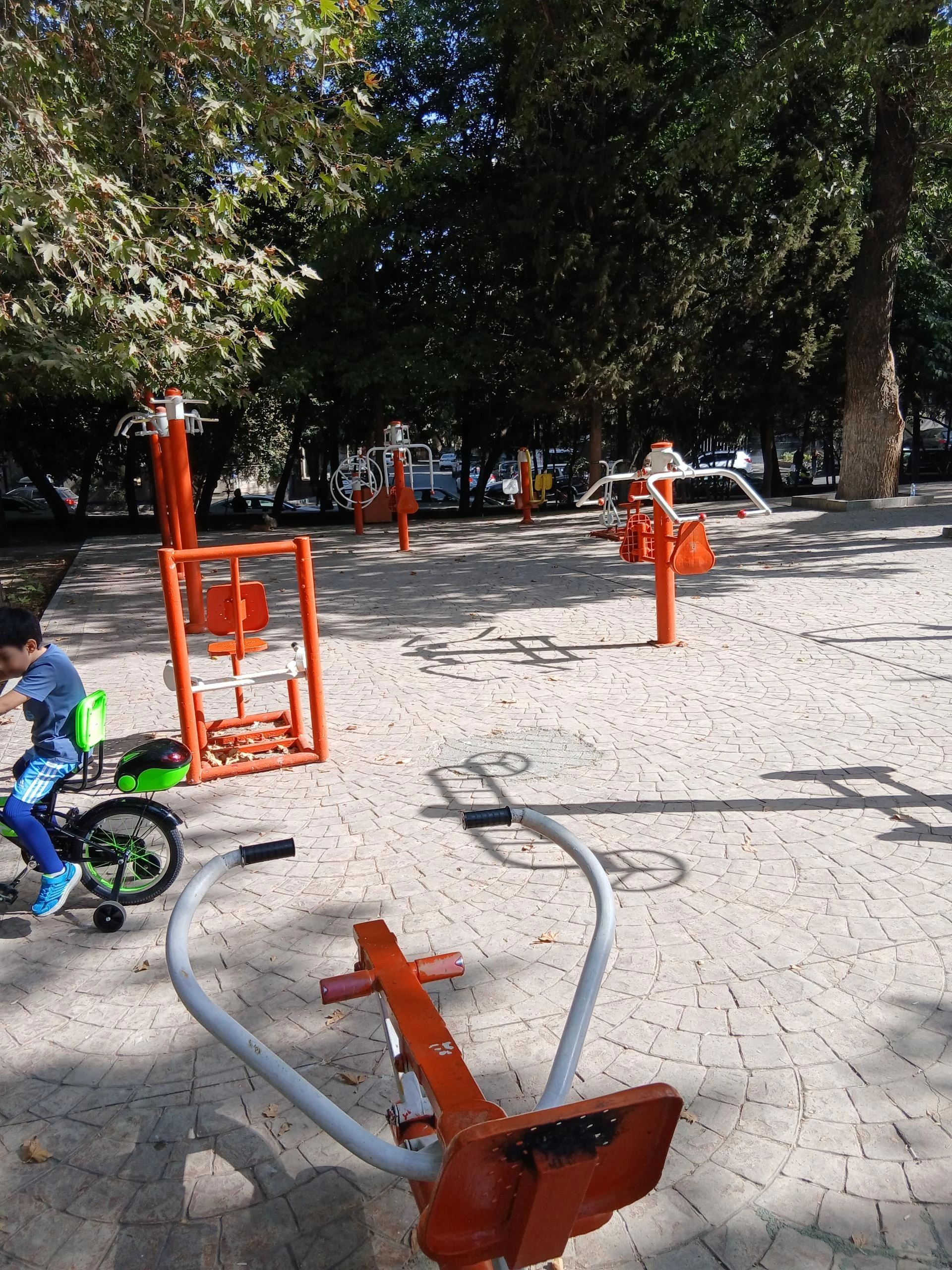 مجموعه ورزشی رشد