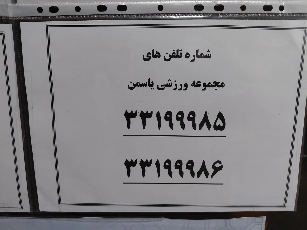مجموعه ورزشی یاسمن - تصویر 2