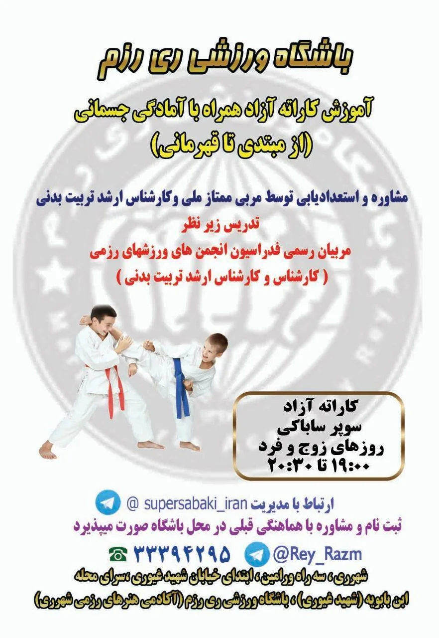 آکادمی هنرهای رزمی شهرری باشگاه ورزشی ری رزم - تصویر 2