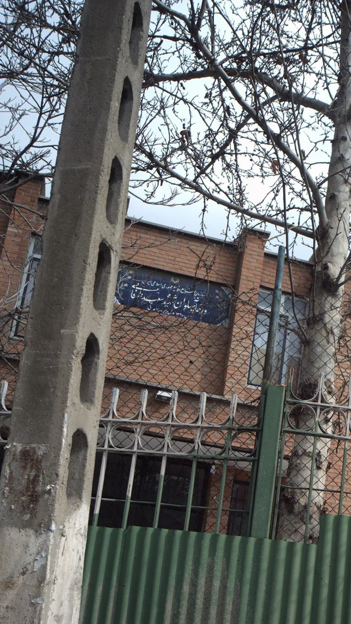 زورخانه پهلوان شهید سعید طوفانی - تصویر 2