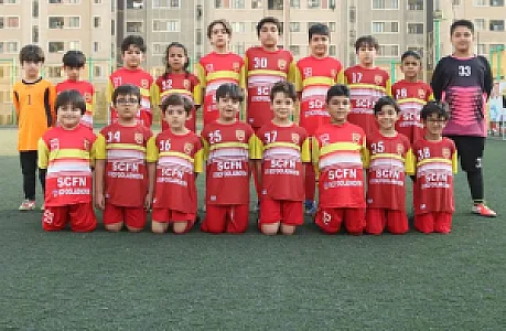 زمین چمن البرز