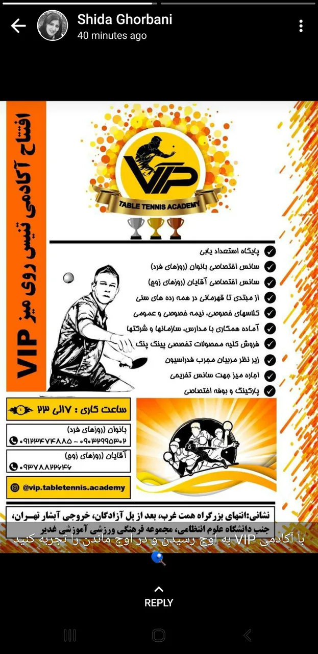 آکادمی تنیس روی میز VIP - تصویر 2