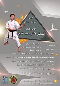مجموعه ورزشی شهدا افسریه
