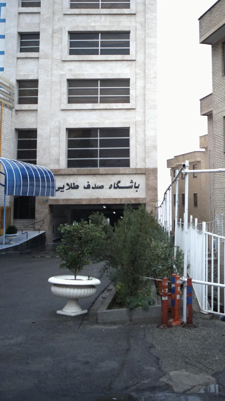 باشگاه صدف طلایی - تصویر 3