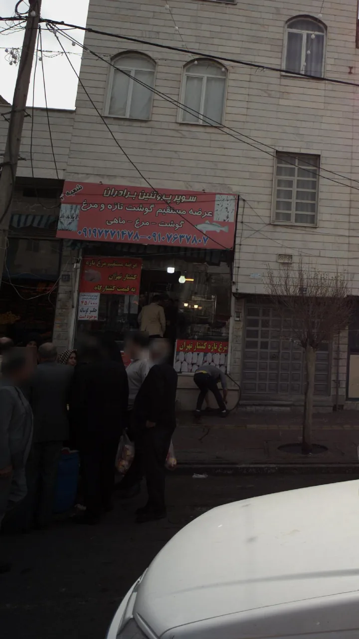 سوپر پروتئین برادران