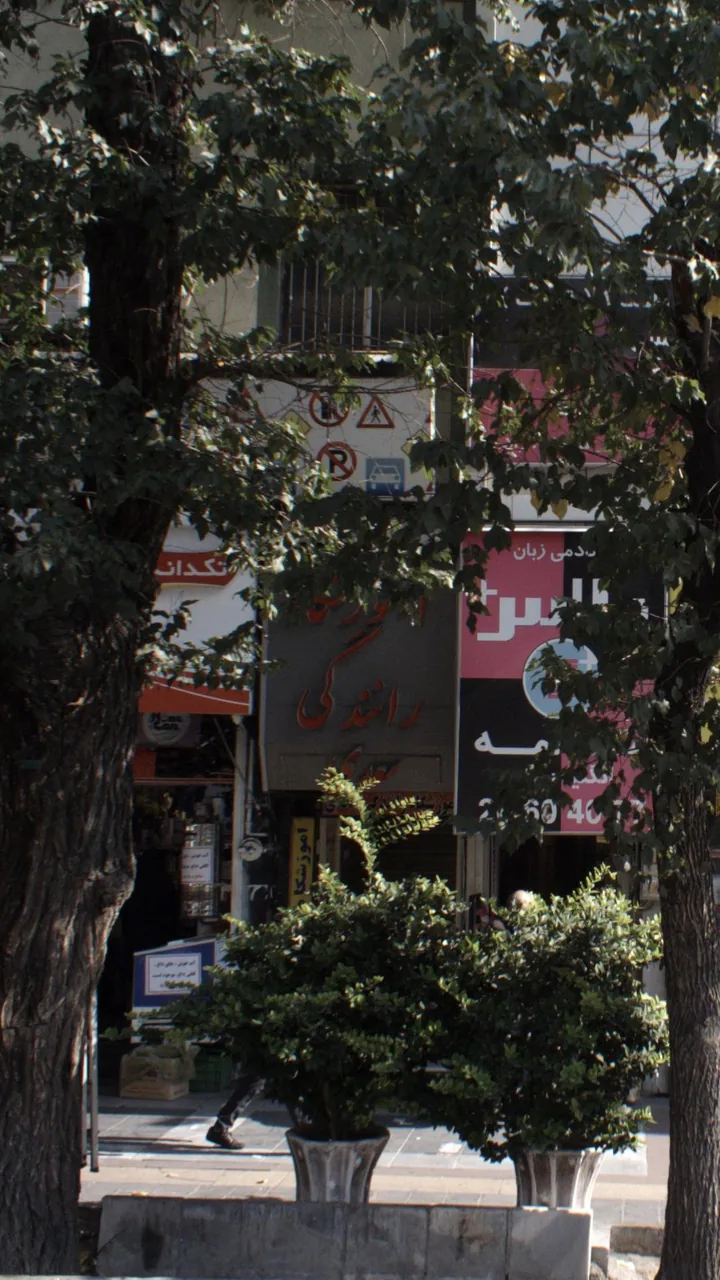 آموزشگاه رانندگی سعدی